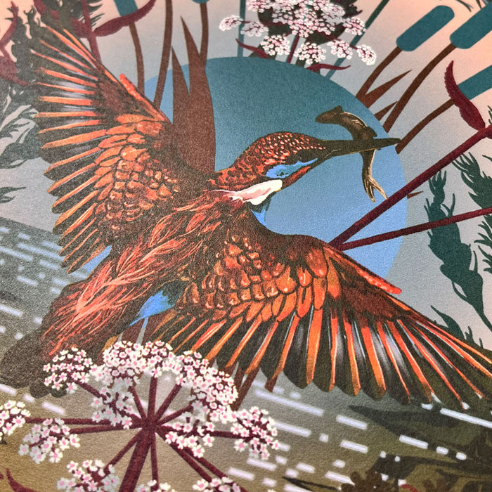 Designer Feature Wallpaper Decor with Kingfishers by Becca Who