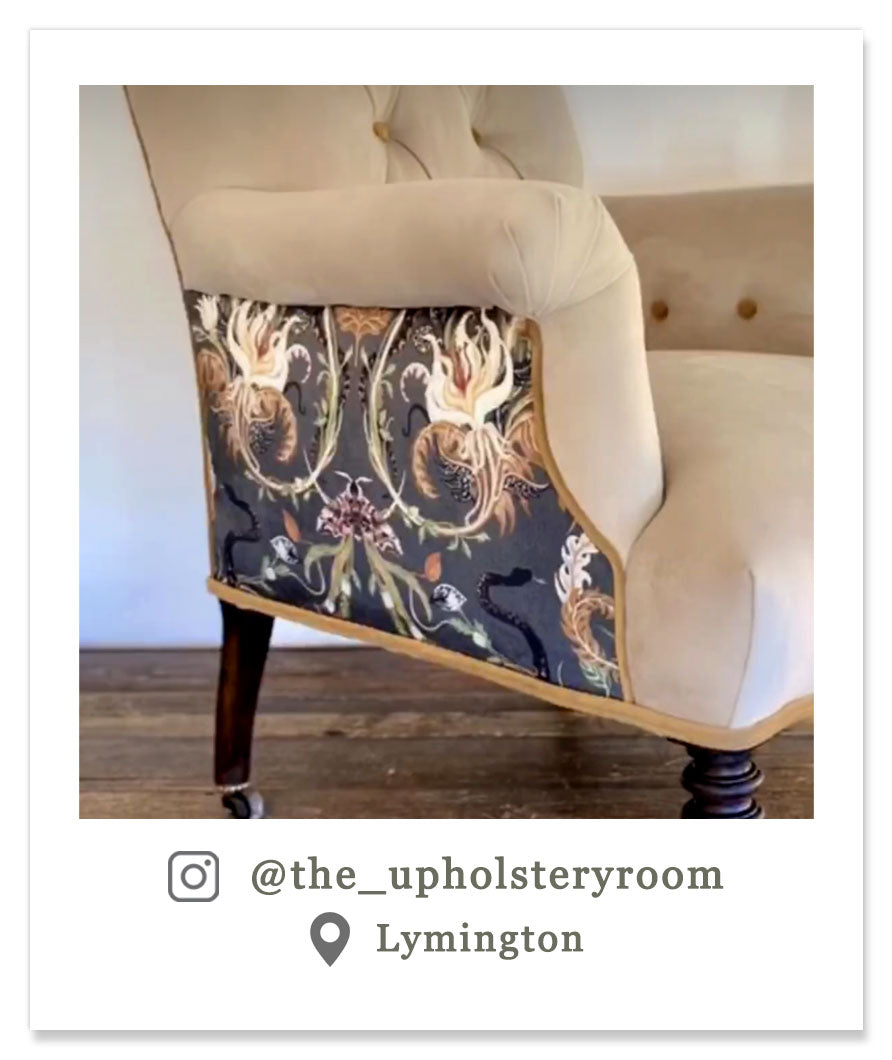 Upholstery Fabric Patterned Charcoal Velvet by Designer Becca Who