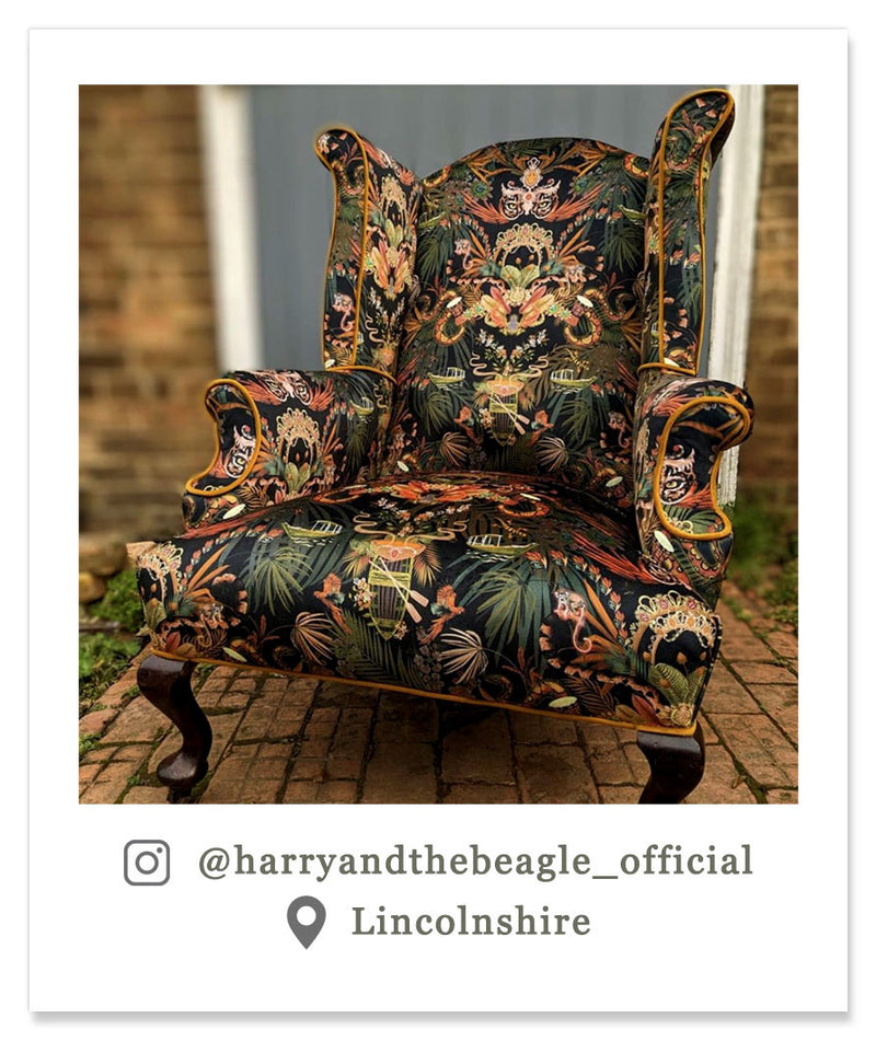 Black & Gold Bold Statement Velvet Upholstery Fabric on Armchair by UK Designer Becca Who