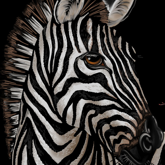 Zebra Painting Wall Art Print in Pink and Black by Designer, Becca Who
