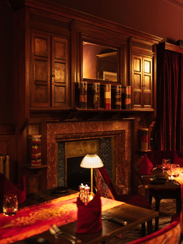 Becca Who Magic Of India Velvet Fabric in Lake District Hotel Interior 