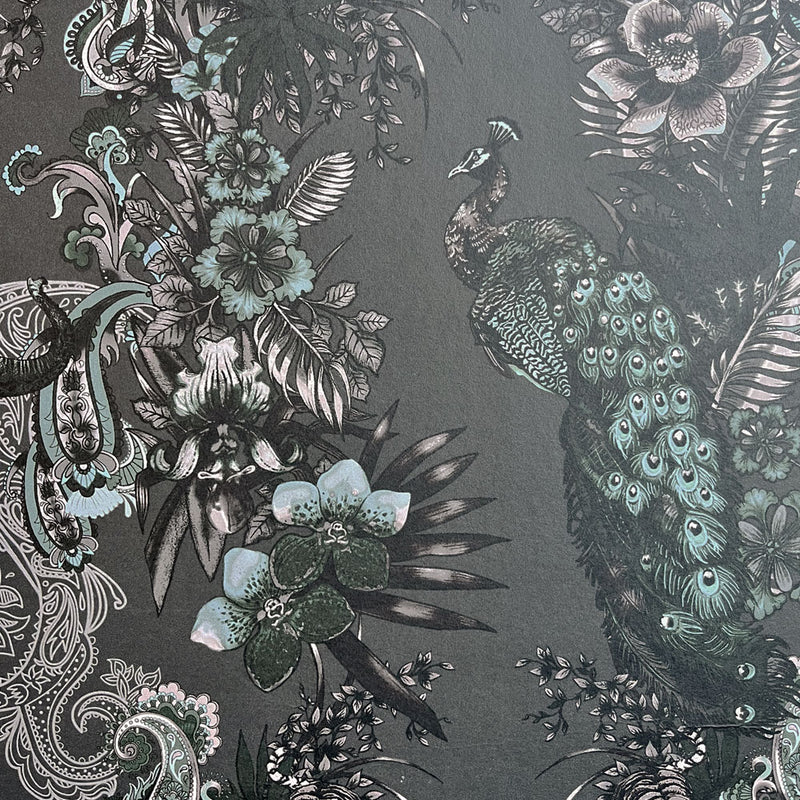 Dark Decor Luxury Designer Wallpaper in Charcoal Grey with Peacocks by Becca Who