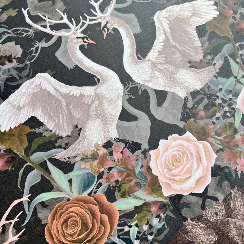 Charcoal Patterned Wallpaper with Swans by Designer, Becca Who