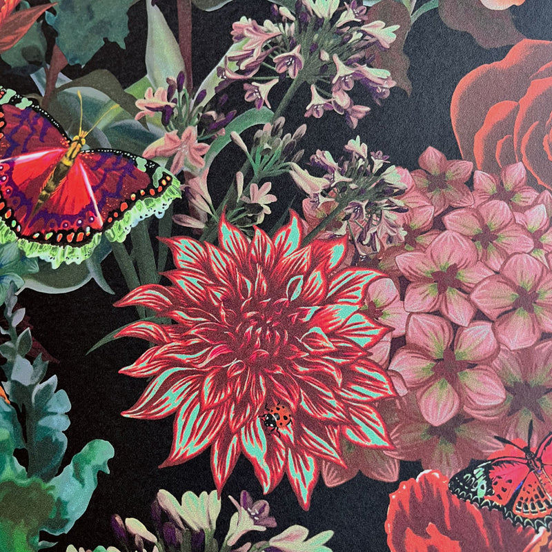 Dark Floral Dramatic Designer Wallpaper on Black by Becca Who