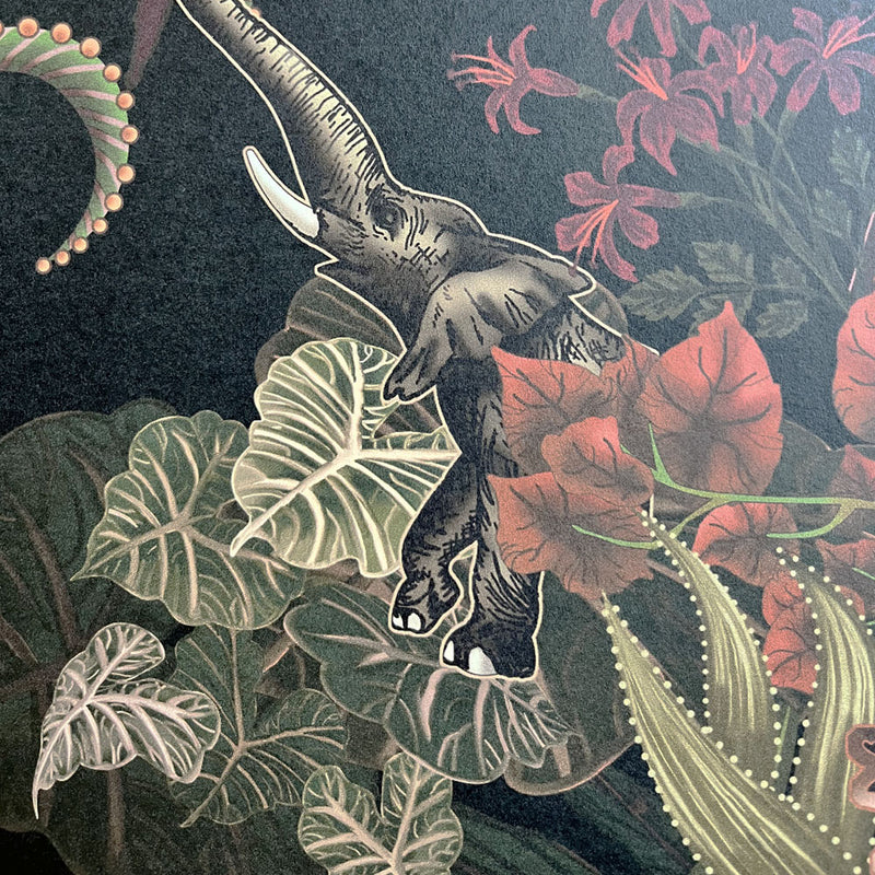 Charcoal African Animals Luxury Wallpaper Dark Decor by Becca Who