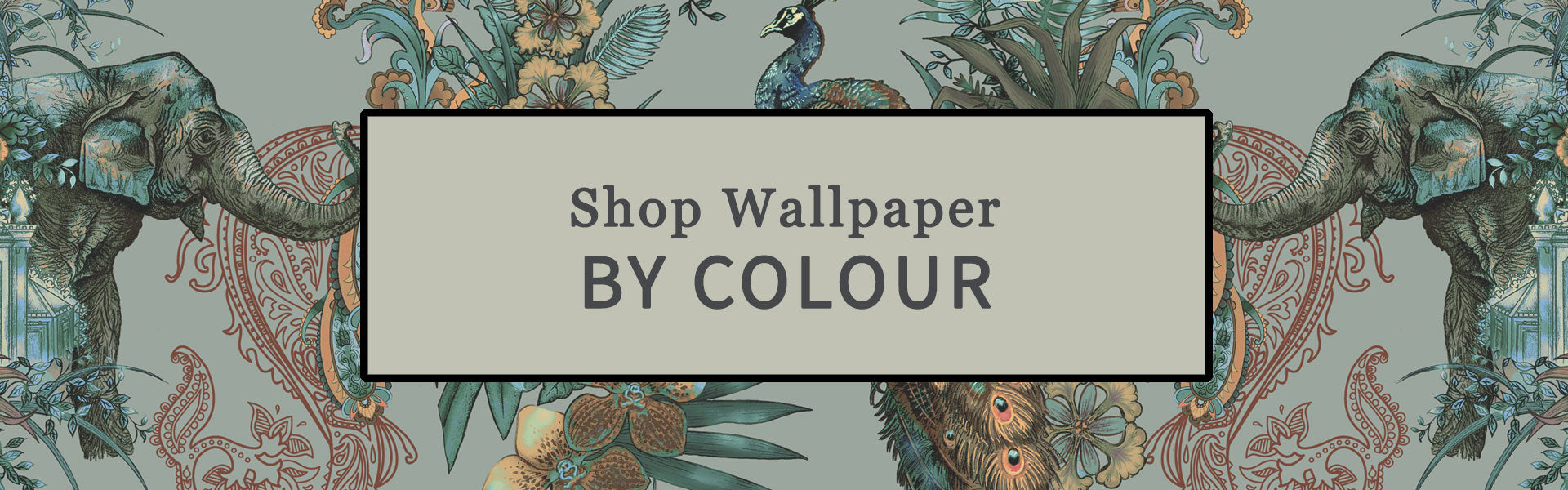 Shop Designer Luxury Wallpapers from Becca Who