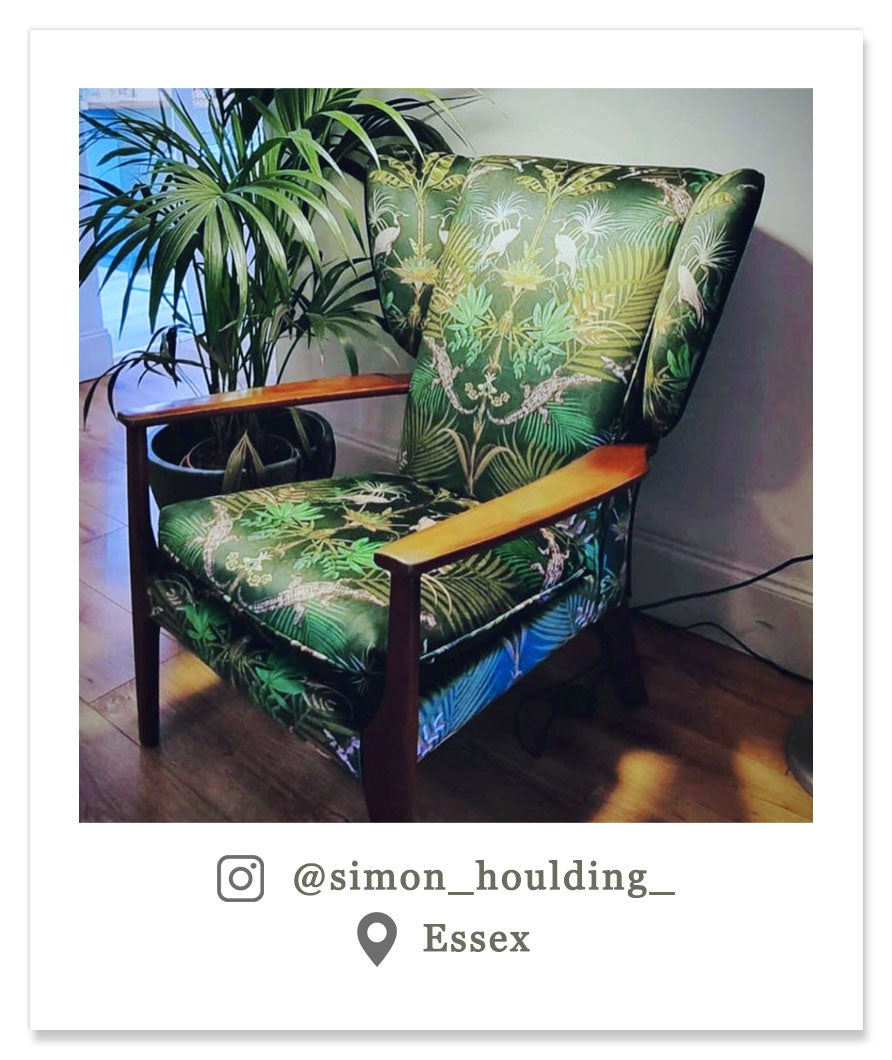 Upholstery Velvet Fabric in Jungle Green by Designer Becca Who