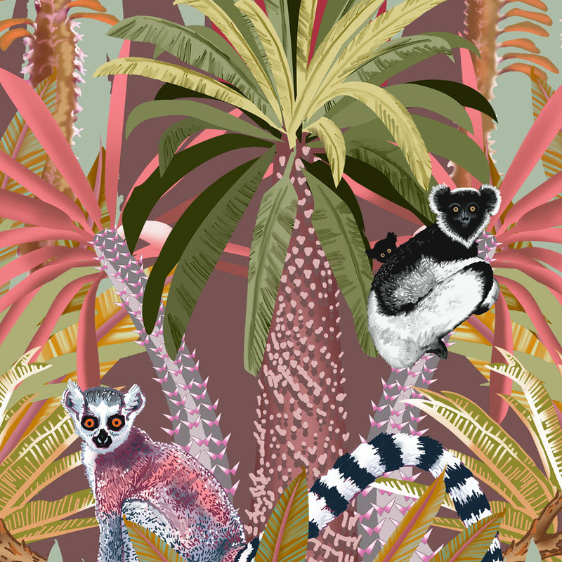 Madagascar in Pink | Art Print