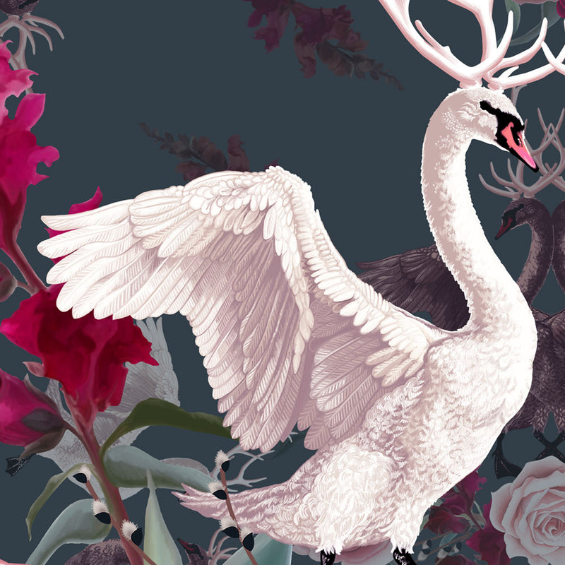 Swan Song in Fuchsia | Art Print