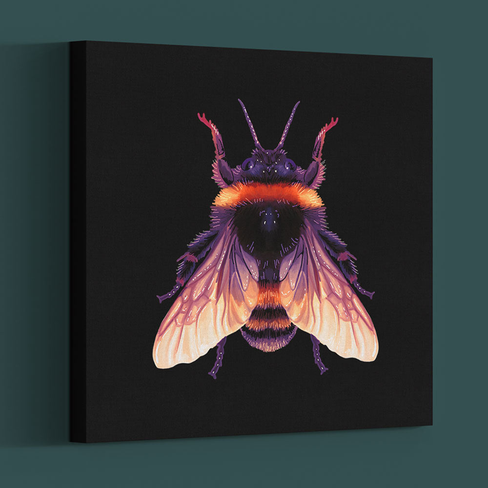 Becca Who Wall Art Canvas Large Bumble Bee on Black