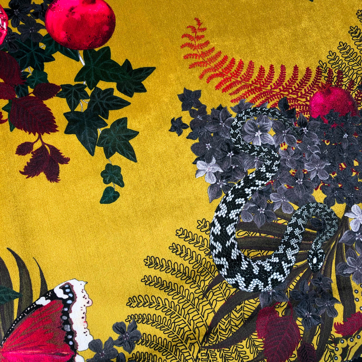 Forbidden Fruit in Ochre Yellow | Designer Velvet Fabric