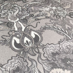 Eden in Stone | Velvet Fabric Sample