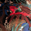 Rainforest Rush in Sultry | Black Patterned Velvet Fabric