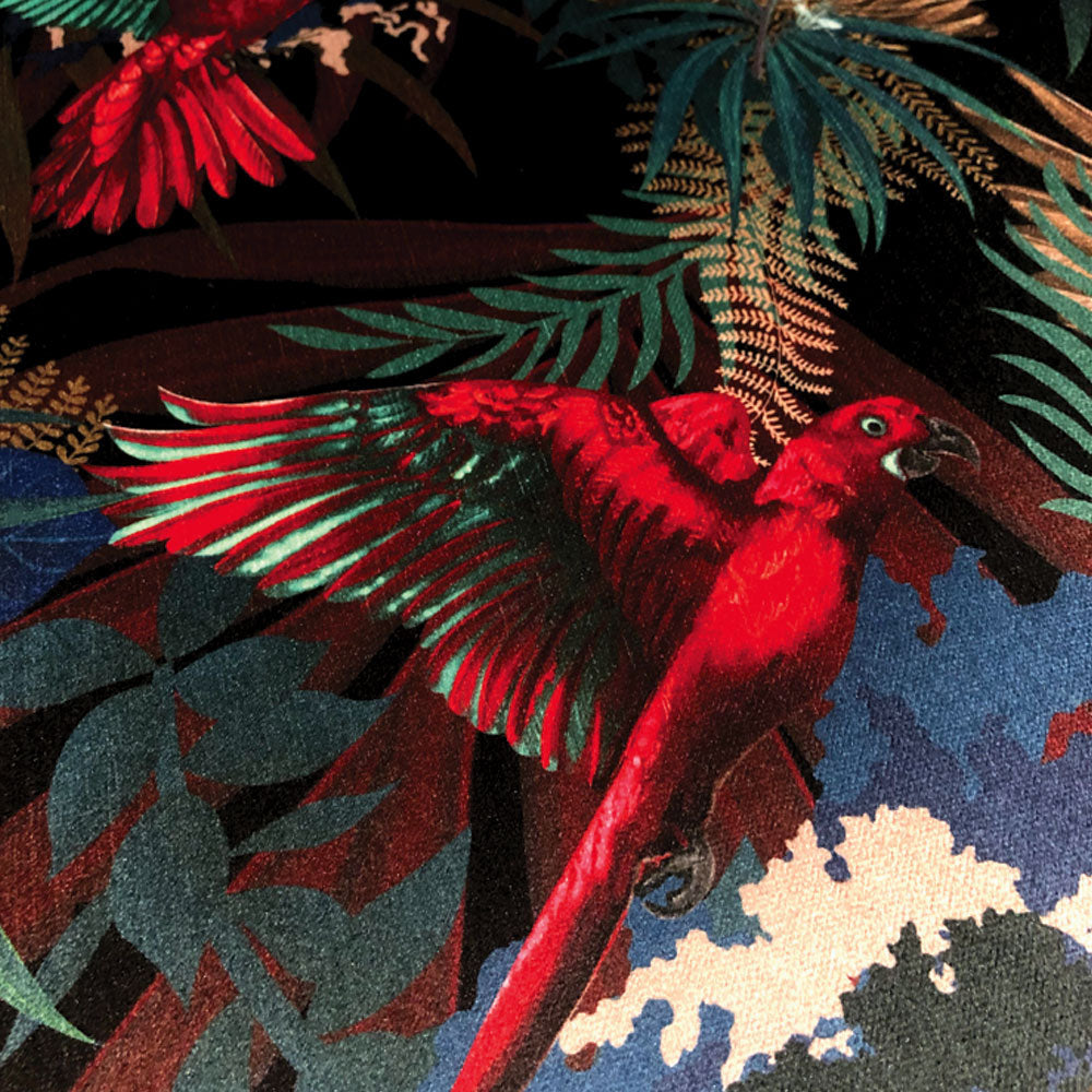 Rainforest Rush in Sultry | Black Patterned Velvet Fabric